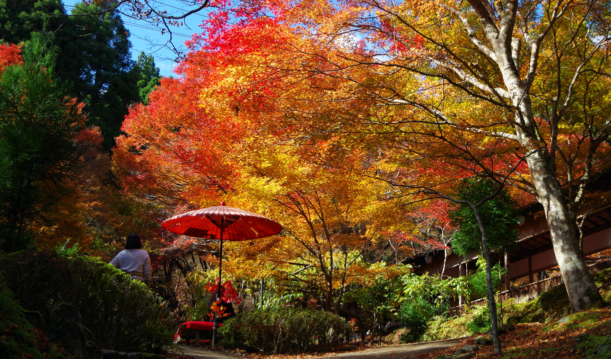 京都・神護寺の秋