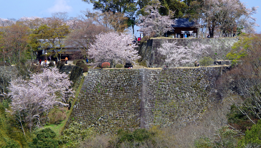 岡城の石垣