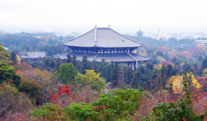 奈良奥山ドライブウェイからみる東大寺大仏殿